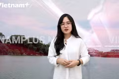 [Video] Đăng tin giả, 'Huấn Hoa hồng' sẽ bị xử phạt như thế nào?
