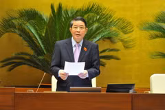 Phó Chủ tịch Quốc hội Nguyễn Đức Hải điều hành phiên họp. (Ảnh: Minh Đức/TTXVN)