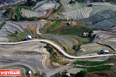 Những thửa ruộng bậc thang ở thung lũng Thiên Sinh vào mùa nước đổ đẹp như bức tranh đa sắc màu. (Ảnh: Nguyễn Thắng)