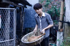 Ngoài việc học, Trung giúp ông chăm sóc đàn lợn, đàn gà và các việc trong gia đình. (Ảnh: Minh Chiến/Vietnam+)