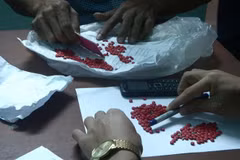 (Ảnh minh họa: TTXVN phát)