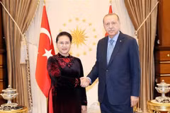 Chủ tịch Quốc hội Nguyễn Thị Kim Ngân hội kiến Tổng thống Thổ Nhĩ Kỳ Recep Tayyip Erdogan. (Nguồn: Trọng Đức/TTXVN)