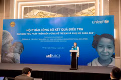 Công bố kết quả điều tra về tình hình của trẻ em và phụ nữ tại Việt Nam. (Ảnh: PV/Vietnam+)