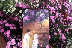Cuốn tiểu thuyết lấy cảm hứng từ tình yêu, tình người trong đại dịch. (Ảnh: Minh Thu/Vietnam+)