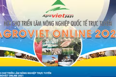Hội chợ triển lãm nông nghiệp quốc tế trực tuyến (AgroViet Online 2021) tại tên miền https://3d.agroviet.com.vn.