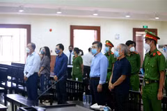 Các bị cáo tại phiên tòa phúc thẩm. (Ảnh: Thành Chung/TTXVN)