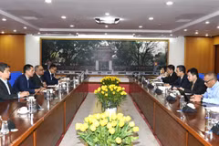 Lãnh đạo Bộ Tài chính trao đổi việc triển khai hoat động tài chính vay nợ giữa Việt Nam và ADB. (Ảnh: BTC/Vietnam+)