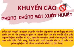 [Infographics] Khuyến cáo phòng, chống sốt xuất huyết