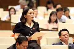 Đại biểu Quốc hội tỉnh Thanh Hóa Cầm Thị Mẫn phát biểu ý kiến. (Ảnh: An Đăng/TTXVN)
