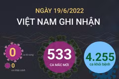 [Infographics] Ngày 19/6, cả nước ghi nhận 533 ca mắc mới COVID-19