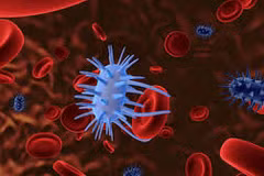 Virus tiêu diệt tế bào ung thư - Bước ngoặt lớn của nhân loại