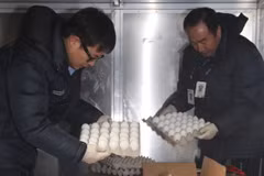 Nhân viên kiểm tra số trứng nhập khẩu từ Mỹ tại sân bay quốc tế Incheon. (Nguồn: Yonhap/TTXVN) 