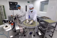 Người bệnh chịu thiệt do tình trạng loạn giá thuốc