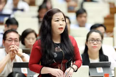 Đại biểu Quốc hội thành phố Hà Nội Vũ Thị Lưu Mai phát biểu tại hội trường. (Ảnh: Trọng Đức/TTXVN)