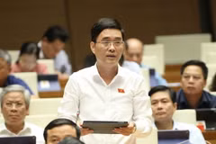 Ông Hoàng Quang Hàm, Ủy viên Thường trực Ủy ban Tài chính, Ngân sách của Quốc hội phát biểu tại phiên họp Quốc hội ngày 11/6 vừa qua. (Ảnh: Doãn Tần/TTXVN)