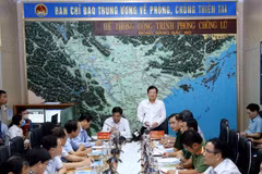 Phó Thủ tướng Chính phủ Trịnh Đình Dũng phát biểu chỉ đạo. (Ảnh: Vũ Sinh/TTXVN)
