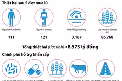 [Infographics] Mưa lũ ở miền Trung: 111 người chết và mất tích