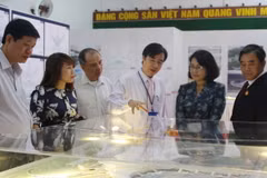 Lấy ý kiến phương án kiến trúc nhà ga Cảng hàng không quốc tế Long Thành. (Ảnh: Lê Xuân/TTXVN)