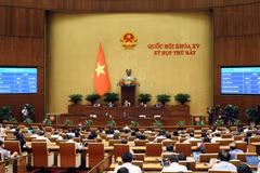 Quang cảnh phiên họp chiều 8/6. (Nguồn: Vietnam+)