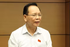 Đại biểu Quốc hội tỉnh Đắk Nông Ngô Thanh Danh phát biểu ý kiến. (Ảnh: Phương Hoa/TTXVN)