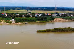 Ảnh minh họa. (Nguồn: Vietnam+)