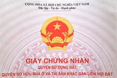 Hộ gia đình, cá nhân sử dụng đất ổn định từ ngày 15/10/1993 đến trước ngày 1/7/2014, mà không xảy ra tranh chấp sẽ được cấp sổ đỏ. (Ảnh: Hùng Võ/Vietnam+)