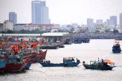 Tàu thuyền của ngư dân tiếp tục di chuyển vào sâu trong Âu thuyền Thọ Quang để tránh bão. (Ảnh: Trần Lê Lâm/TTXVN)
