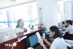 (Ảnh minh họa: Minh Phú/TTXVN)