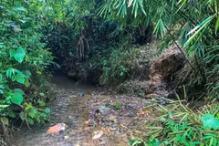 Nhiều lớp bùn cặn bám đầy xung quanh bờ suối Khai (Hòa Bình). (Ảnh: Vietnam+)