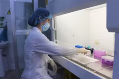 Xét nghiệm SARS-CoV-2. Ảnh minh họa. (Ảnh: Thái Hùng/TTXVN)