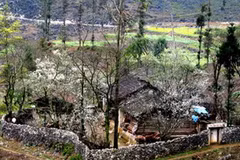 Khuôn viên một ngôi nhà trình tường. (Nguồn: dulichhagiang.vn)