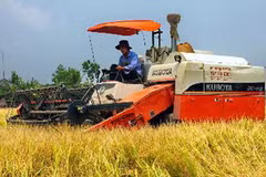 Thu hoạch lúa Đông Xuân 2011-2012 tại Hậu Giang. (Ảnh: Duy Khương/TTXVN)