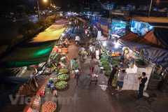 (Ảnh: Minh Sơn/Vietnam+)