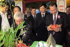 Phó Thủ tướng thăm quan gian hàng. (Ảnh: Thế Đạt/Vietnam+)
