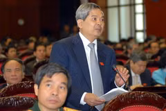 Bộ trưởng Bộ Tài nguyên và Môi trường Phạm Khôi Nguyên phát biểu ý kiến. (Ảnh: Doãn Tấn/TTXVN).
