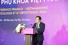 (Ảnh: PV/Vietnam+)