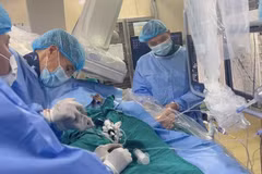 Bệnh nhân được các bác sỹ can thiệp thay van trong van qua đường ống thông. (Ảnh: PV/Vietnam+)