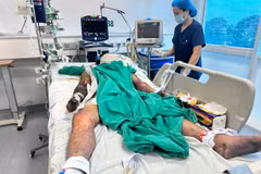Nhân viên y tế chăm sóc, theo dõi sức khỏe cho bệnh nhân mắc liên cầu lợn. (Ảnh: PV/Vietnam+)