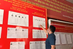 Đại hội đảng bộ cấp xã, cấp huyện sẽ tạm dừng tổ chức. (Ảnh: Xuân Quảng/Vietnam+)