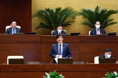 Bộ trưởng Bộ Y tế Nguyễn Thanh Long trả lời các câu hỏi chất vấn của đại biểu Quốc hội. (Ảnh: Phạm Kiên/TTXVN)