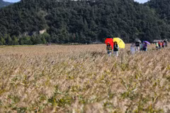 Du khách tham quan Vịnh Suncheon (Hàn Quốc). (Nguồn: THX/TTXVN)