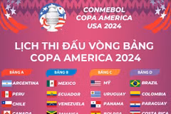 Lịch thi đấu vòng bảng Giải vô địch bóng đá Nam Mỹ Copa America 2024