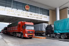 Hoạt động xuất, nhập khẩu sôi động trong những tháng đầu năm 2024 tại cửa khẩu quốc tế đường bộ số II Kim Thành. (Ảnh: Quốc Khánh/TTXVN)