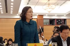 Thứ trưởng Bộ Văn hóa, Thông tin, Thể thao và Du lịch trả lời tại phiên họp báo Chính phủ. (Ảnh: PV/Vietnam+)