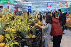 Có 7/9 mặt hàng trong nhóm nông sản có sự sụt giảm về xuất khẩu trong quý đầu năm. (Nguồn: PV/Vietnam+)