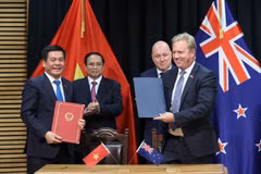 Bộ trưởng Nguyễn Hồng Diên và ông Todd McClay, Bộ trưởng Bộ Ngoại giao, Thương mại New Zealand đã ký kết Bản thỏa thuận về hợp tác kinh tế, thương mại giữa Bộ Công Thương Việt Nam và Bộ Ngoại giao, Thương mại New Zealand. (Ảnh: PV/Vietnam+)