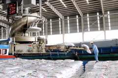 Hoạt động sản xuất kinh doanh của Tập đoàn và các đơn vị luôn được duy trì ổn định, liên tục thiết lập kỷ lục trong những năm qua (Ảnh minh họa)