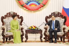 Thủ tướng Chính phủ Lào Sonexay Siphandone tiếp thân mật Đoàn đại biểu Thông tấn xã Việt Nam do Tổng Giám đốc Vũ Việt Trang làm Trưởng đoàn. (Ảnh: Đỗ Bá Thành/TTXVN)