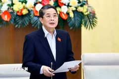 Phó Chủ tịch Quốc hội Nguyễn Đức Hải. (Nguồn: TTXVN)