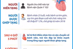 Bệnh viện Trung ương Huế lập kỷ lục về thời gian ghép tim xuyên Việt